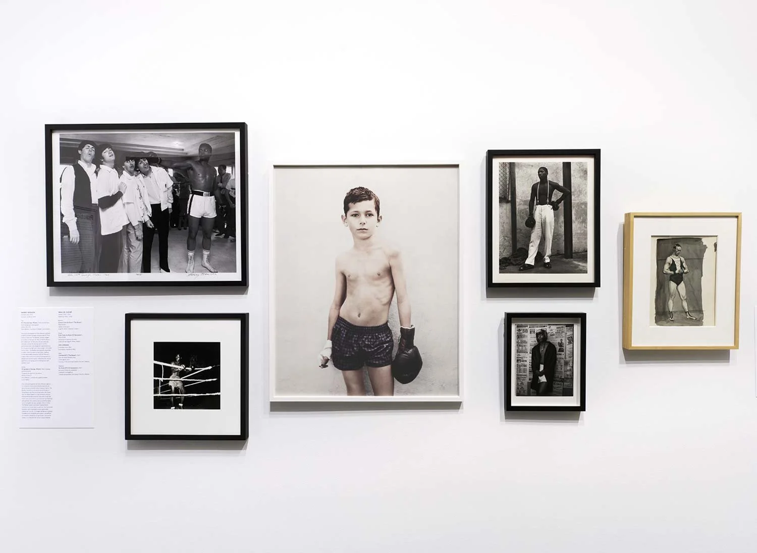Gallery 1 — Vee Speers